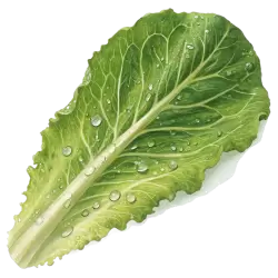 Imagen PNG para descargar